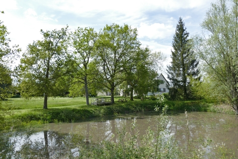 Cabinet LOIRE & CHARME Immobilier - Demeures de caractère en Val de Loire