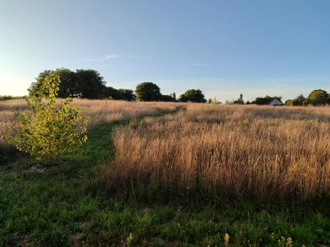 Photo 19