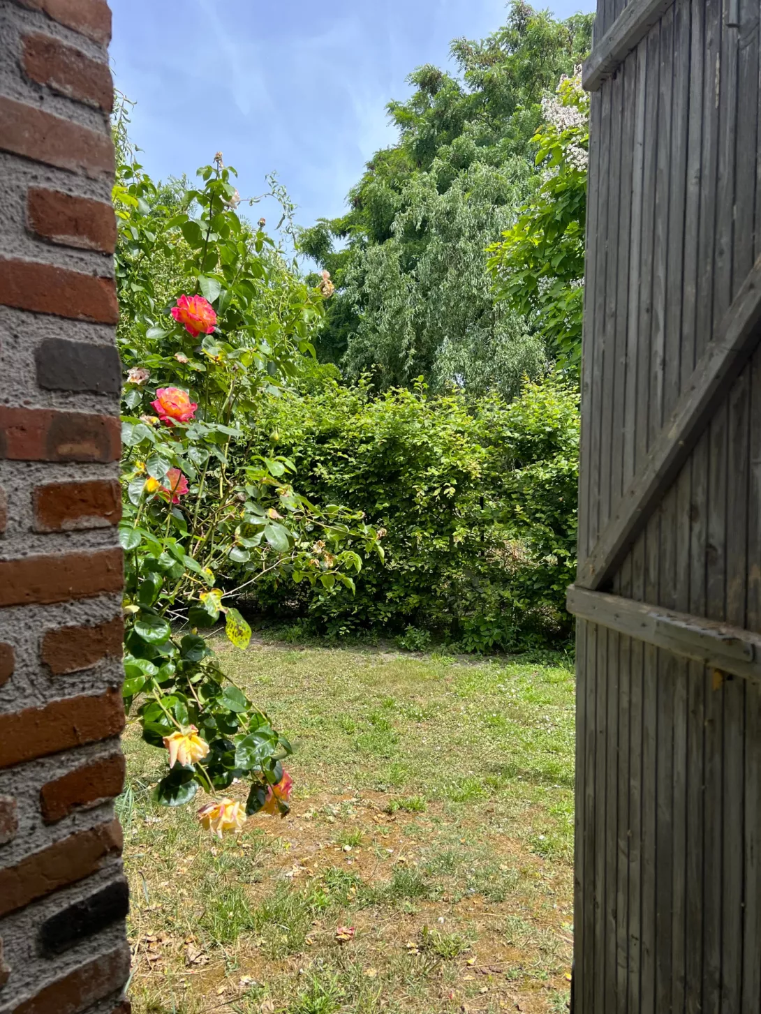 Photo 19