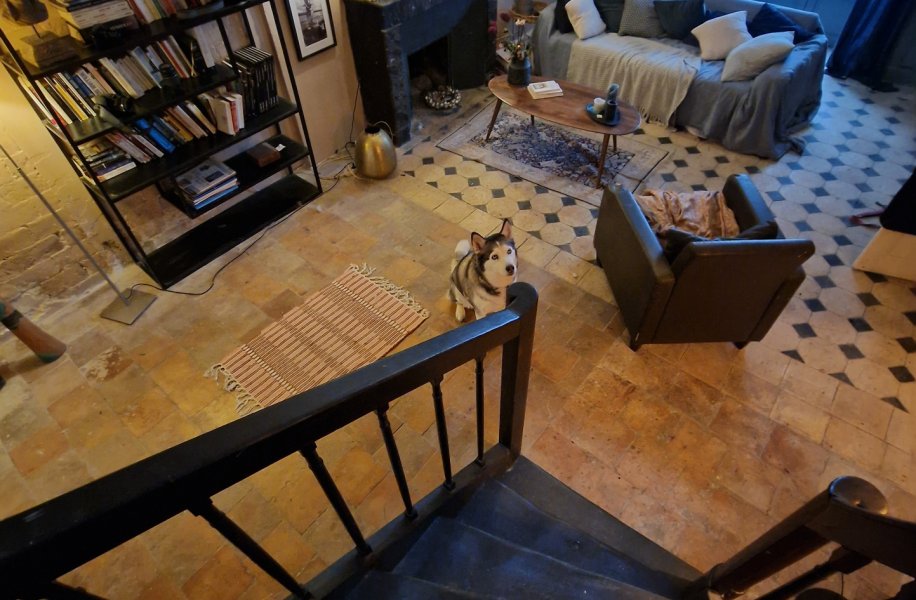 Photo 6
