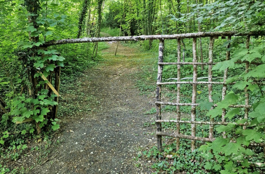 Photo 15